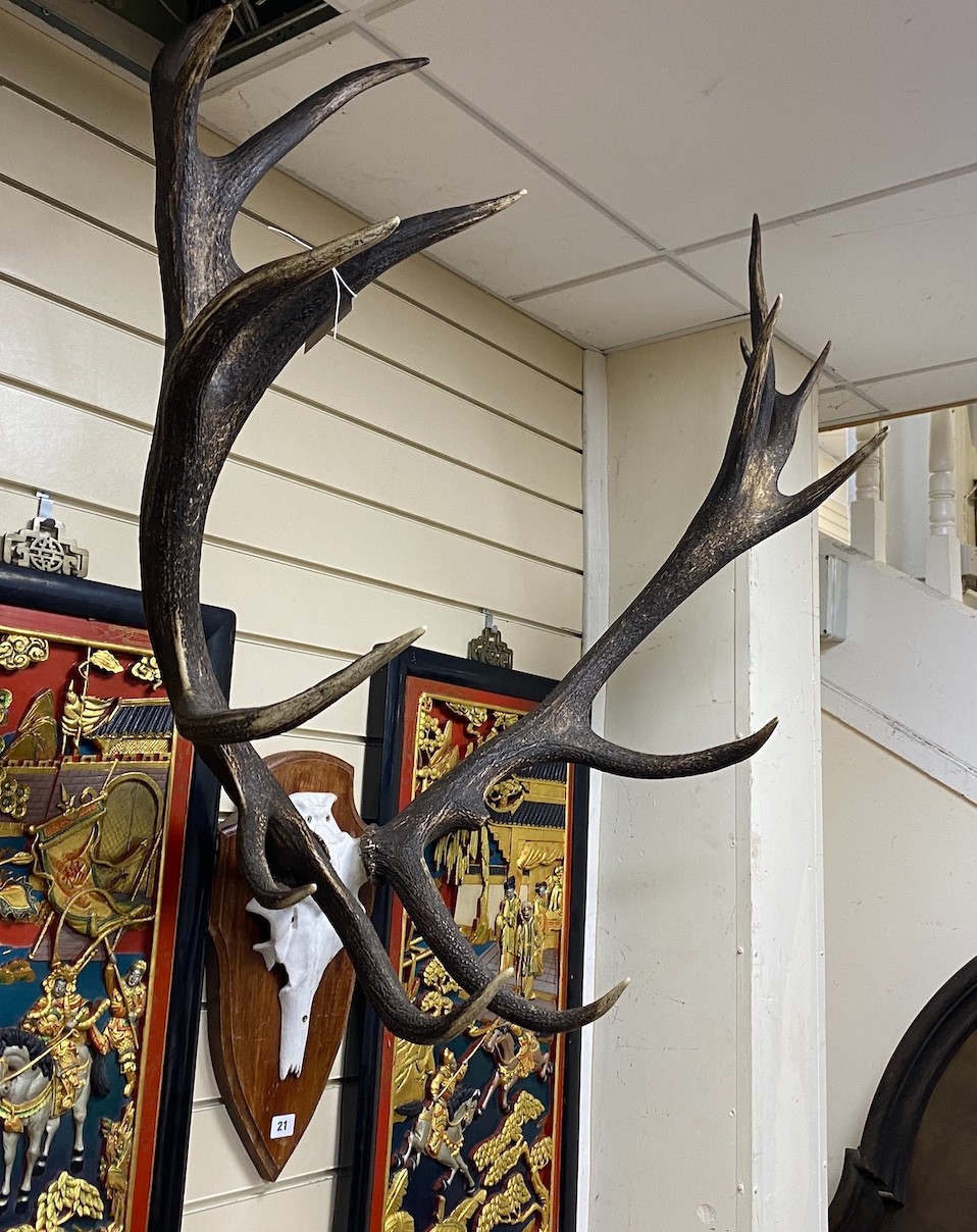 A faux stag horn and cast metal wall trophy, width 95cm, height 100cm